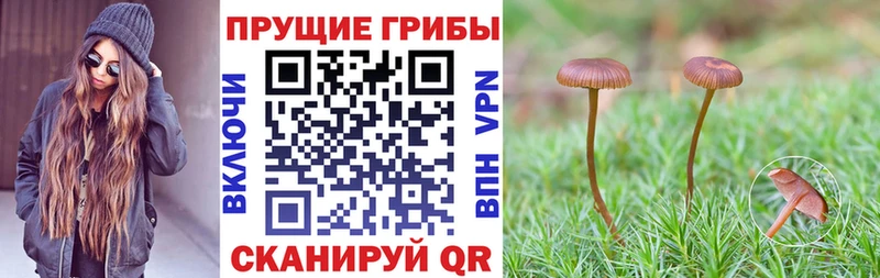 Псилоцибиновые грибы ЛСД  Райчихинск 